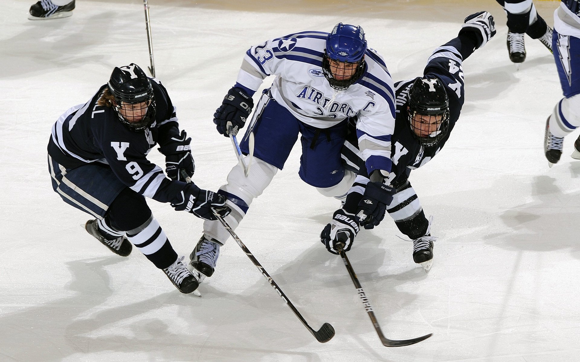世界杯球迷文化发展，世界杯的历史文化